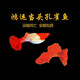 墨一鴻運當頭孔雀魚(yú)風(fēng)水魚(yú)易養寓意好的魚(yú)胎生容易生小魚(yú)新手 公母配對6條（母魚(yú)帶孕）