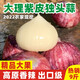 舅甜果蔬大理紫皮獨(dú)頭蒜干蒜特大【現(xiàn)摘/順豐】新鮮辣蒜頭農(nóng)家種植 3斤 精品大果（30-40mm）