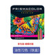PRISMACOLOR美國霹靂馬油性彩鉛進(jìn)口美術(shù)手繪水溶性彩色鉛筆培斯瑪大師級膚色人像白色套裝 油性-72色鐵盒裝
