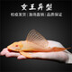 黃金紅眼大帆魚活體迷宮清潔工龍魚配魚清缸神器 20-22cm紅眼女王大帆2條