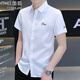 以堡狼（YIBAOLANG）冰絲彈力休閑襯衫韓版質(zhì)感垂感抗皺男士短袖刺繡免燙薄款商務(wù)襯衣 584白色 2XL（125-145斤）