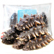 德嶼 大連速凍即食海參刺參 遼刺參 1500g 30只