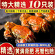 【活蟹】大閘蟹鮮活特大六月黃螃蟹中秋國慶生鮮陽澄湖河蟹禮品袋 全公蟹：4.3-4.0兩（10只）