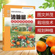 圖說沙糖橘高效栽培技術(shù) 果樹種植技術(shù)書籍大全果樹修剪與管理 砂糖橘沙糖桔栽培技術(shù)書 柑橘栽培技術(shù)