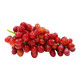 云南克瑞森無籽紅提1.5kg