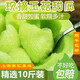 拾畝記上海玉菇甜瓜新鮮現摘白瓜香瓜生鮮水果整箱當季綠肉蜜瓜 帶箱10斤普通箱裝