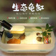 森森（SUNSUN）養(yǎng)烏龜專用缸家用龜缸烏龜飼養(yǎng)缸小烏龜專用缸爬臺(tái)曬臺(tái)烏龜缸 龜便分離 38cm長(zhǎng)綠色+雨淋過濾款