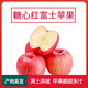 土產(chǎn)邦山西運(yùn)城黃土高坡膜袋冰糖心紅富士蘋果新鮮水果產(chǎn)地直發(fā)甜脆10斤 9斤