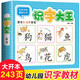 寶寶早教幼兒?jiǎn)⒚?識字大王 兒童看圖識字幼兒識字書(shū)寶寶學(xué)前啟蒙早教書(shū)籍幼兒園老師推薦幼小銜接常用字
