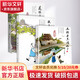 耗子大爺起晚了+花貓三丫上房了+土狗老黑闖禍了 葉廣芩作品 中國(guó)好書 學(xué)校推薦小學(xué)生課外閱讀書籍 圖書 兒童讀物