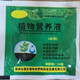 花棯進(jìn)口重瓣水仙花種球 年宵花卉耐寒植物室內客廳陽(yáng)臺水培土培水養洋水仙盆栽 水培花專(zhuān)用營(yíng)養液 不含盆