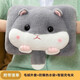 金輝百佳熱水袋充電防爆暖水袋女生暖寶寶毛絨可愛(ài)可拆洗暖手寶暖手袋 倉鼠-國標防爆-可拆洗