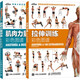 正版包郵  肌肉力量訓(xùn)練+拉伸訓(xùn)練彩色圖譜 全2冊 健身書籍 教程私人教練教學(xué)圖解男性女性拉伸訓(xùn)練指導(dǎo)大全硬派健