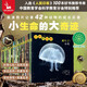 生命的故事（全42冊）1-4輯（3-6歲兒童科普繪本昆蟲(chóng)動(dòng)物百科全書(shū)用實(shí)拍大圖記錄生命的成長(cháng)過(guò)程果殼、無(wú)窮小亮推薦）新老版本隨機發(fā)貨(中國環(huán)境標志綠色印刷)省錢(qián)卡