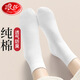 浪莎（langsha）女士襪子女100%純棉中筒襪春秋冬季吸汗純色全棉防臭黑白色棉襪 白色6雙 均碼【36-40碼】