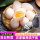 新鮮鴿子蛋雜糧散養農家特產(chǎn)鴿子蛋孕婦寶寶兒童土鴿蛋30枚鮮鴿蛋 30枚鴿子蛋