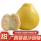 兮柔廣西容縣沙田柚 正宗白柚白心大果純甜現摘當季新鮮柚子送禮佳品 禮盒裝大果9-11個(gè)裝 約18斤