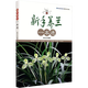 【正版】 新手養(yǎng)蘭一本通