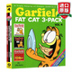 英文原版 加菲貓漫畫三合一 Garfield Fat Cat 3 Pack 4 合訂本4