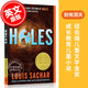 現(xiàn)貨 Holes 別有洞天 英文原版 紐伯瑞獎小說 洞 Louis Sachar 少年兒童故事書 正版進口原版書籍 獲獎圖書