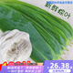 粽葉新鮮特大包粽子的葉子粽子葉大葉 新鮮野生棕葉子大號 200片【大葉寬7-11cm】