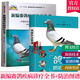 鴿病防治圖譜+新編賽鴿疾病診療全書 鴿子科學(xué)飼養(yǎng)技術(shù)書 鴿子養(yǎng)殖技術(shù)書大全 鴿子藥大全常見病調(diào)理 養(yǎng)鴿子書籍 肉鴿養(yǎng)殖技巧書籍Y  預(yù)售