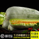 禾人羊角蜜甜瓜 羊角蜜 羊角蜜瓜 羊腳密瓜 禾人 羊角蜜甜瓜【15斤 禮盒裝】