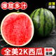 財萊樂麒麟西瓜全美2K新鮮小糖丸手撕西瓜水果應季現(xiàn)摘麒麟紅玉西瓜沙瓤 3-4斤（1個裝）