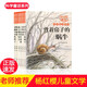 楊紅櫻畫(huà)本·科學(xué)童話(huà)系列全六冊貓頭鷹開(kāi)宴會(huì )小學(xué)生三四五六年級課外經(jīng)典書(shū)目?jì)和膶W(xué)讀物 楊紅櫻畫(huà)本·科學(xué)童話(huà)系列全六冊