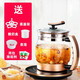 和庭 全自動養(yǎng)生壺2.5L大容量加厚玻璃多功能燒水壺黑茶器煮花茶壺 單水壺 2.5L
