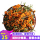 山西新鮮沙棘果鮮果 呂梁酵素水果 可榨果汁 500g