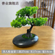 善業(yè)（shanye） 新中式迎客松盆景擺件玄關(guān)辦公室根雕裝飾仿真松樹(shù)迎客松羅漢松 黑色扁陶瓷盆+美人松盆栽