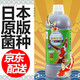 日本EM菌錦鯉益生菌藥水腸炎光合細菌水產(chǎn)養殖乳酸菌調水劑 濃縮EM菌1200ml(穩定水質(zhì))