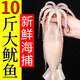 超大魷魚生鮮活新鮮深海冷凍水產(chǎn)大魷魚尤魚整只燒烤批發(fā) 3斤 海捕整只大魷魚