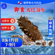 俄珍堡俄羅斯野生即食海參刺參大紅參生鮮海鮮口感勁道零添加寶寶輔食 大紅參8頭1斤裝（7-9只）