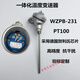 WZPB-231探頭溫度傳感器PT100一體化溫度變送器高溫?zé)犭娮?~20MA 帶4~20MA模塊插深=150mm