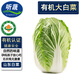 聽蔬有機大白菜 黃心清甜新鮮 膠東現(xiàn)采摘 山東濰坊無農(nóng)殘食材匯 4斤