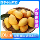 秋嫻海南小臺農(nóng)芒果新鮮小臺芒水果當(dāng)季整箱紅金玉大青煌三亞特產(chǎn) 四季臺農(nóng)5斤-大小隨機(jī)（JD）