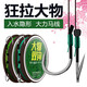 川品社 大物子線(xiàn)雙鉤魚(yú)鉤綁好成品臺釣進(jìn)口釣魚(yú)青魚(yú)鉤巨物加強子線(xiàn)雙鉤 【大馬力子線(xiàn)雙鉤】6號線(xiàn)/12號鉤