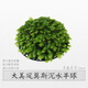 森淵（SENYUAN）魚(yú)缸懶人莫斯水草造景沉木大三角美鳳尾垂淚沉水莫絲懸浮半球陰性 大美鳳莫斯半球-大號