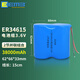 EEMB鋰電池組適用智能水表流量計ER14505 18505 26500 34615定位儀3.6V 7.2V鋰亞電池組 3.6V ER34615兩節(jié)并聯(lián)38000mAh