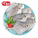 純色本味 冷凍舟山口袋鯧 700g 銀鯧魚(yú) 白鯧 燒烤 平魚(yú) 地標(biāo)產(chǎn)品 生鮮魚(yú)類