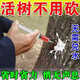 環(huán)嗪酮除大樹(shù)針哭滴強力爛根藥倒死除樹(shù)劑爛劑腐根劑爛根王 【強力除樹(shù)劑】1瓶