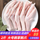 散養(yǎng)新鮮大鵝爪冷凍大號鵝爪 鵝掌農(nóng)家鵝腳生鮮 鵝掌 2斤裝