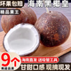 現(xiàn)摘海南小椰子牛奶椰皇去皮椰青孕婦水果黑殼老椰子椰寶黃金椰子 2個(gè)
