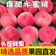 帆兒莊園新鮮蜜桃水蜜桃桃子毛桃水果應季時(shí)令孕婦生鮮當季現摘脆甜 帶箱5斤（凈重4.5斤）