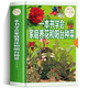 一本書學(xué)會家庭養(yǎng)花和陽臺種菜 養(yǎng)花入門 在陽臺上種菜 手把手教你陽臺種菜 家庭種菜蔬菜種植技術(shù)書籍