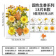 澳顏萊 真樹葉植物標(biāo)本干花壓花幼兒園手工貼畫diy材料包制作書簽真花朵 國色生香系列B款