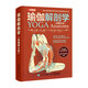 瑜伽解剖學(xué) 典藏版