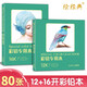 繪經(jīng)典《彩鉛專(zhuān)用本》80張12開(kāi)+16開(kāi)彩色鉛筆素描美術(shù)紙 高白紙張色彩亮麗 層次豐富 手繪畫(huà)畫(huà)圖畫(huà)